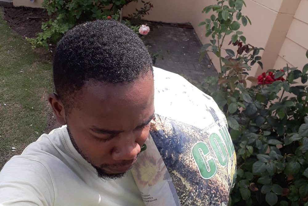 horticulture big joe